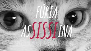 Official Trailer - Fúria AsSISSIna / AsSISSIn's Fury