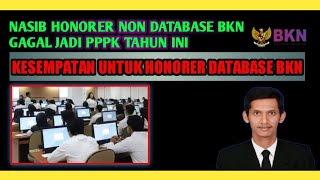 NASIB HONORER NON DATABASE BKN GAGAL JADI PPPK TAHUN INI | KESEMPATAN HONORER DATABASE BKN