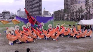 「 夜宵 」どまつり夜桜in岡崎2017【多目的広場】