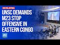 UN Security Council Demands M23 Stop Offensive In Eastern Congo | Dawn News English
