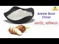 cereals name in hindi and english all cereals u0026 food grains name अनाज के नाम हिंदी और इंग्लिश में