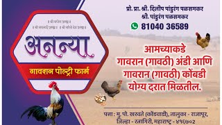 कोकणातील नवं उद्योजकाची भेट आणि संवाद Free Range Gavaran Poultry Farm