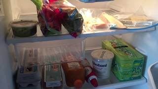 Minimalist refrigerator tour