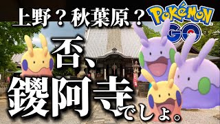 【強欲】ヌメラ100%を貪欲に追う妻と静観する夫【ポケモンGO】