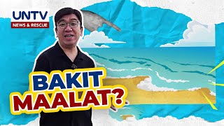 ALAMIN: Bakit maalat ang dagat?