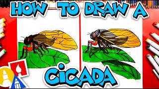 How To Draw A Cicada Insect