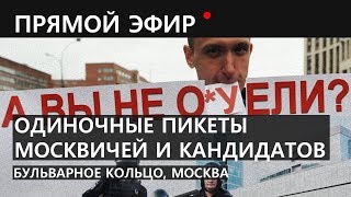 Одиночные пикеты москвичей и кандидатов. Бульварное кольцо, Москва. Камера 2