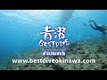 【 沖繩潛點 okinawa dive site】 萬座毛潛水 dreamhole 沖繩dreamhole 沖繩fundive horseshoe