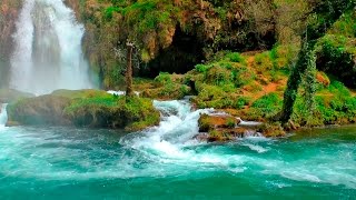 Download Relaxing Music with Nature Sounds - Waterfall HD mp3