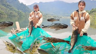 Use a blocking net to let the fish enter a door in the middle, catching a lot of fish and shrimp.