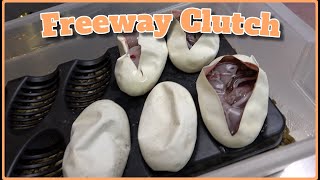 Freeway Double Het DG Cryptic Clutch | Egg Cutting!