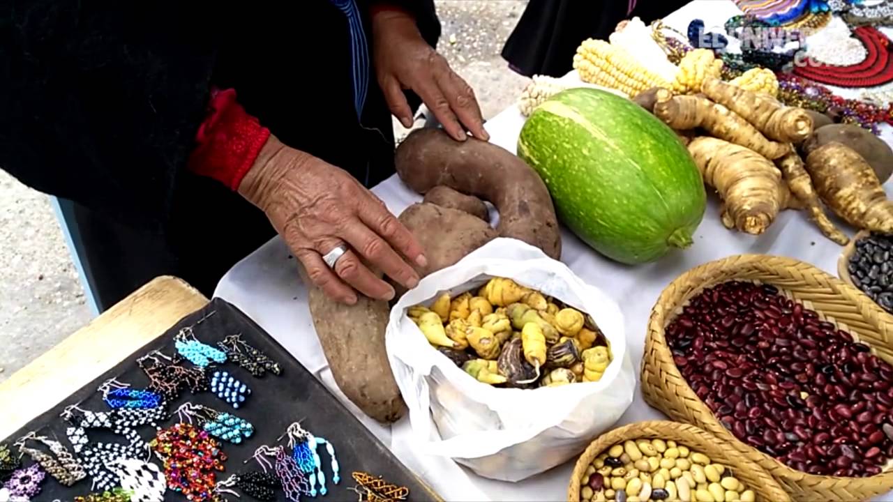 Un Festival Para Transmitir Saberes Ancestrales - YouTube