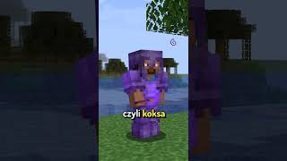 JAK STEVE POTRAFI BYĆ MOCNY w MINECRAFT?