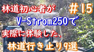 林道初心者が、V-Strom250で実際に体験した行き止り9選