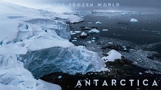 ANTARCTICA - The Frozen World | Cinematic  Trailer