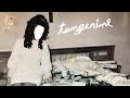 blush - tangerine (visuals)