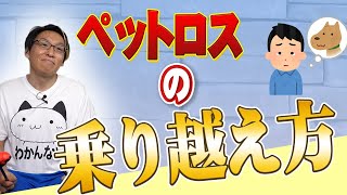 【重要】大事なペットちゃんを失い悲しむあなたへ。ペットロスを乗り越えましょう！【#アニマルコミュニケーション】