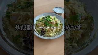 カレー大好き女が作る炊飯器ビリヤニ