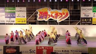 麗舞　2024加古川踊っこまつり　前夜祭