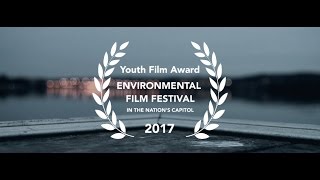 99¢ | A Short Film About the Environment