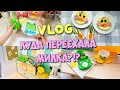 (eng sub) Where did Milka move to?!? Lalafanfan Duck's New Room | Ideas for LALAFANFAN Ducks