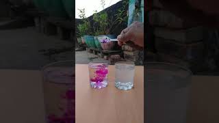 salt water vs potassium || easy science experiment ||#short#e_bull_jet#viral