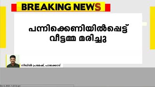 പാലക്കാട് പന്നിക്ക് വെച്ച കെണിയിൽ നിന്ന് ഷോക്കേറ്റ് വീട്ടമ്മ മരിച്ചു