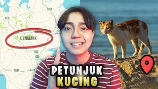 Mencari Lokasi NEGARA dari PETUNJUK Kucing!