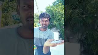 விபூதி // திருநீறு சாப்பிடும் சவால் #youtube #eating #davidsadhanaofficial #viral #memes #shorts