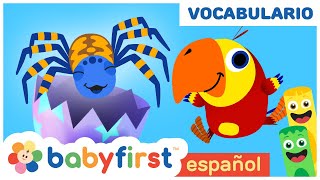 Colores en español para niños y huevos sorpresa | Pandilla de Colores | Babyfirst tv español