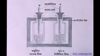 শ্বসন প্রক্রিয়ায় তাপ নির্গমনের পরীক্ষা।থার্মফ্লাক্সের চিত্র অঙ্কন।Drawing tutorial