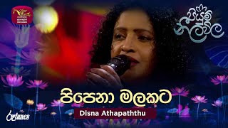 Pipena Malakata | පිපෙනා මලකට | Disna Athapaththu | Piyum Neela Vila | Roo Tunes