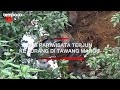 Bus Pariwisata Terjun ke Jurang di Tawangmangu, 7 Orang Meninggal Termasuk Sopir