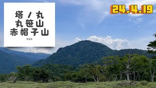 塔ノ丸　丸笹山　赤帽子山　24.6.19