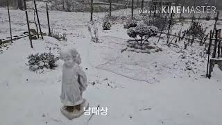 눈 내리는 화이트하우스(Snow in whitehouse)