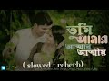 তুমি আমার আত্মার আত্মীয় ❤️‍🩹 lo fi ❤️‍🩹 slowed reberb bangla song ❤️❤️‍🩹🎵🎵