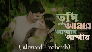 তুমি আমার আত্মার আত্মীয় ❤️‍🩹 Lo-fi ❤️‍🩹 ( slowed + reberb ) Bangla Song ❤️❤️‍🩹🎵🎵