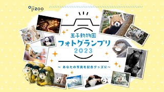 「王子動物園フォトグランプリ2023」結果発表