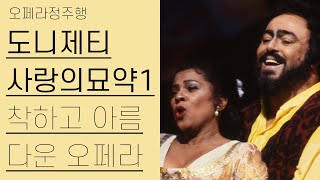 도니제티, 사랑의 묘약 1부 | 사랑의 묘약 탄생과정 | 오페라정주행 13편