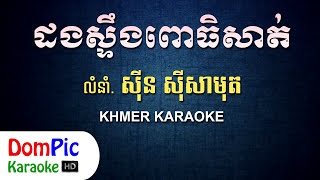 ដងស្ទឹងពោធិសាត់ ស៊ីន ស៊ីសាមុត ភ្លេងសុទ្ធ - Dong Steng Por Sat Sin Sisamuth - DomPic Karaoke