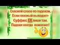 Имя существительное. Суффиксы ЕК и ИК.