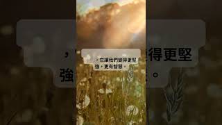 每日一句心靈雞湯 語錄分享 正能量語句 勵志名言 EP 122 #shorts #勵志 #每日一句 #動力 #心靈雞湯語錄 #感情 #正能量  #人生 #人生感悟