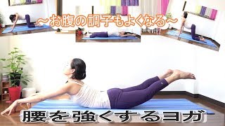 Back pain prevention \u0026 improvement yoga in 15 minutes