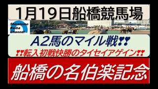 【競馬予想】船橋の名伯楽記念～転入初戦快勝のタイセイアゲイン！～2023年1月19日 船橋競馬場 ：1―38