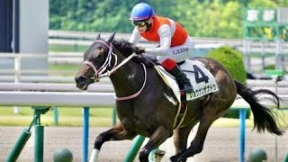 2歳未勝利　 芝1600m (右 D) 　ショウナンザナドゥ　牝2　55.0　池添謙一　2024.6.22　　出走馬：ゼンダンハヤブサ、ヴェーヌドール、ソルトチューダ、アルデココ、コムーネ他