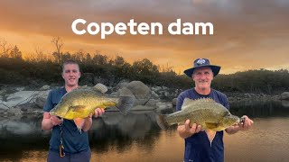Copeton Dam Yellowbelly WENT OFF! (Unreal Summer Fishing)