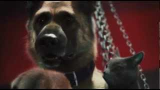 Playtubepk Ultimate Video Sharing Website