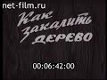 НОВОРОССИЙСК СТРОИТЕЛЬСТВО И АРХИТЕКТУРА 1980 № 5