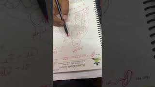 Print all subsequence of string || Recursion || Java