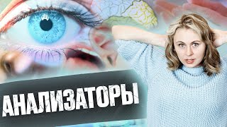 Анализаторы | Летний курс | БиоФАК 2022